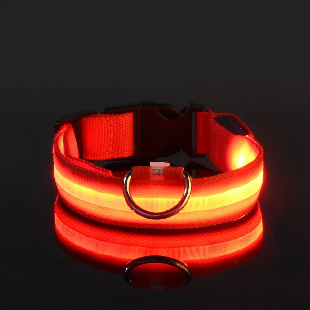 LED Glow Dog Leash & Collar — Stay Safe on Night Walks