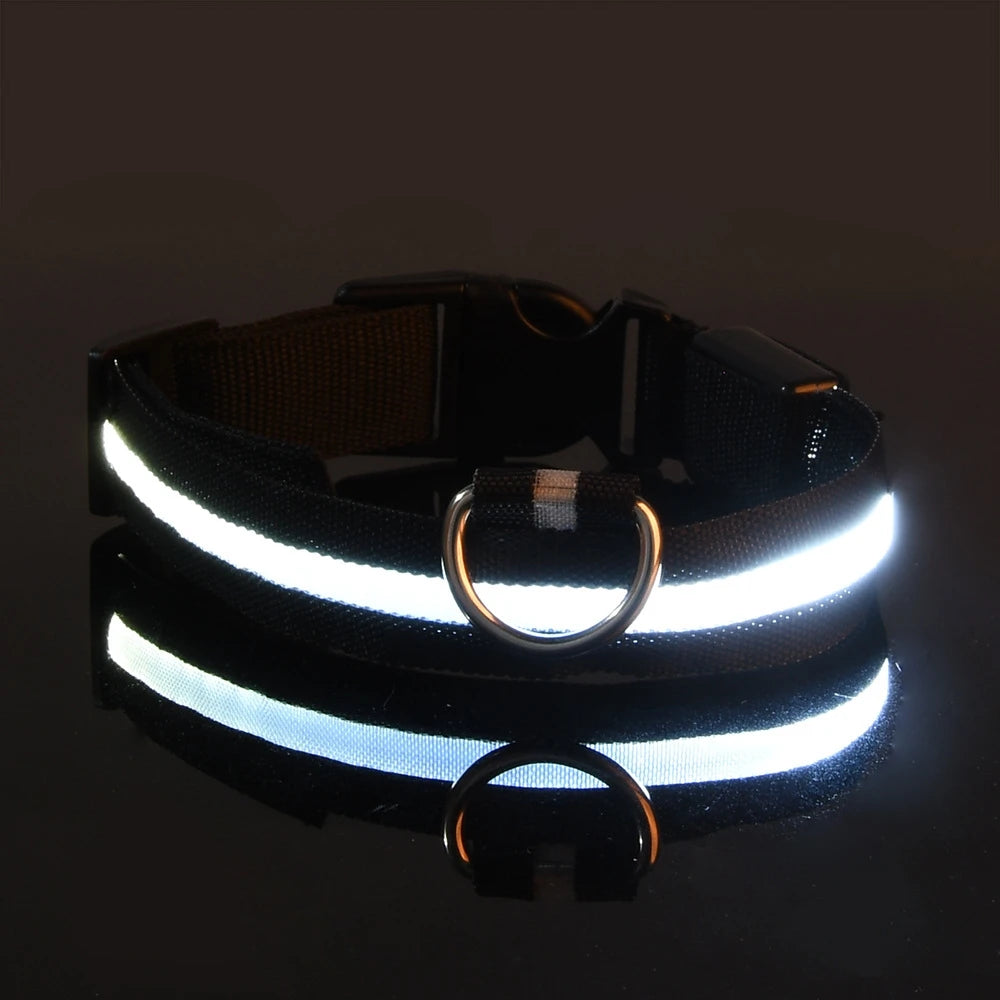 LED Glow Dog Leash & Collar — Stay Safe on Night Walks