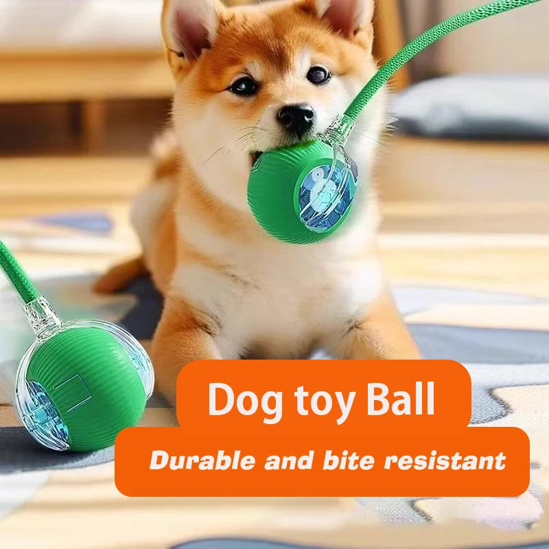 Smart Rolling Dog Ball — Interactive Automatic Toy for Dogs & Cats