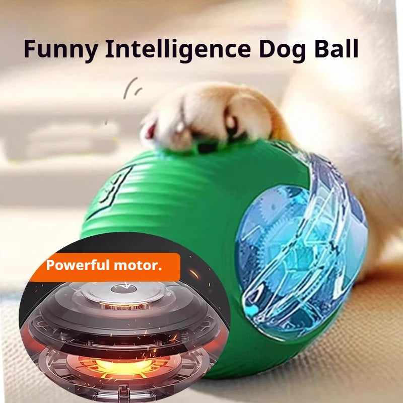 Smart Rolling Dog Ball — Interactive Automatic Toy for Dogs & Cats