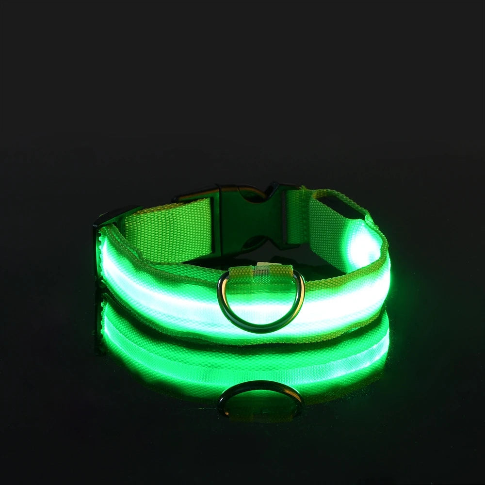 LED Glow Dog Leash & Collar — Stay Safe on Night Walks