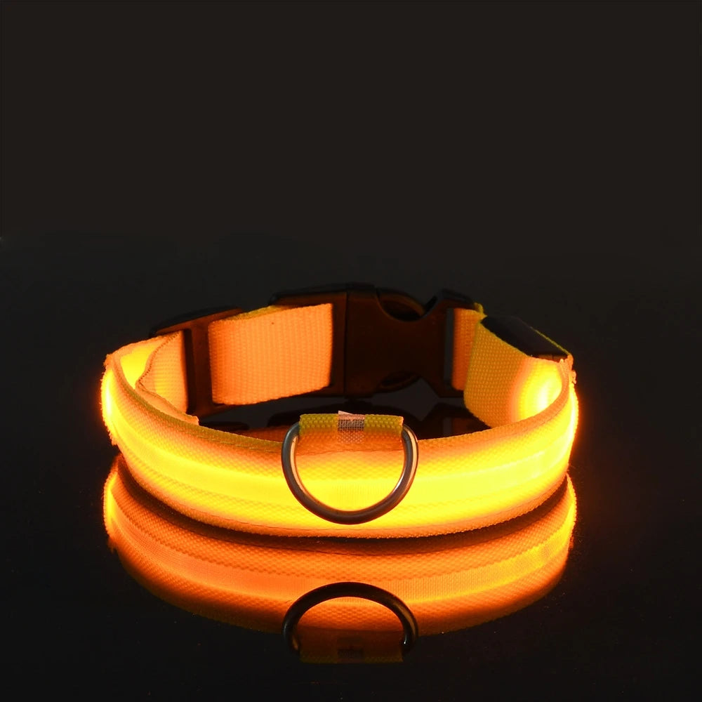 LED Glow Dog Leash & Collar — Stay Safe on Night Walks