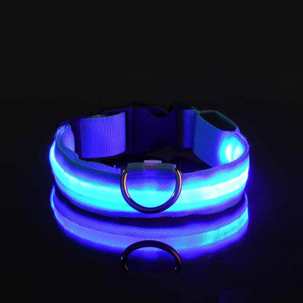 LED Glow Dog Leash & Collar — Stay Safe on Night Walks