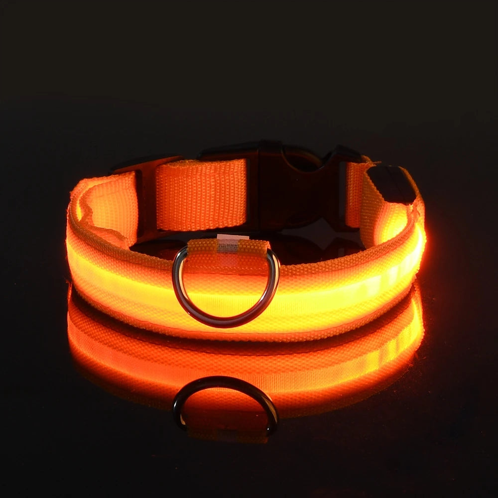 LED Glow Dog Leash & Collar — Stay Safe on Night Walks