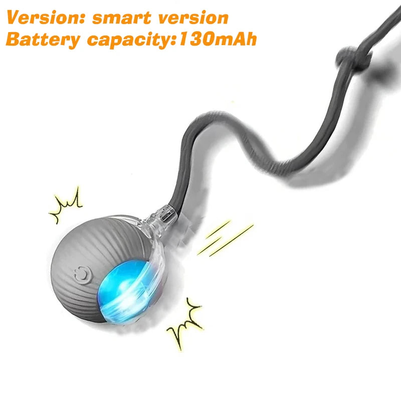 Smart Rolling Dog Ball — Interactive Automatic Toy for Dogs & Cats