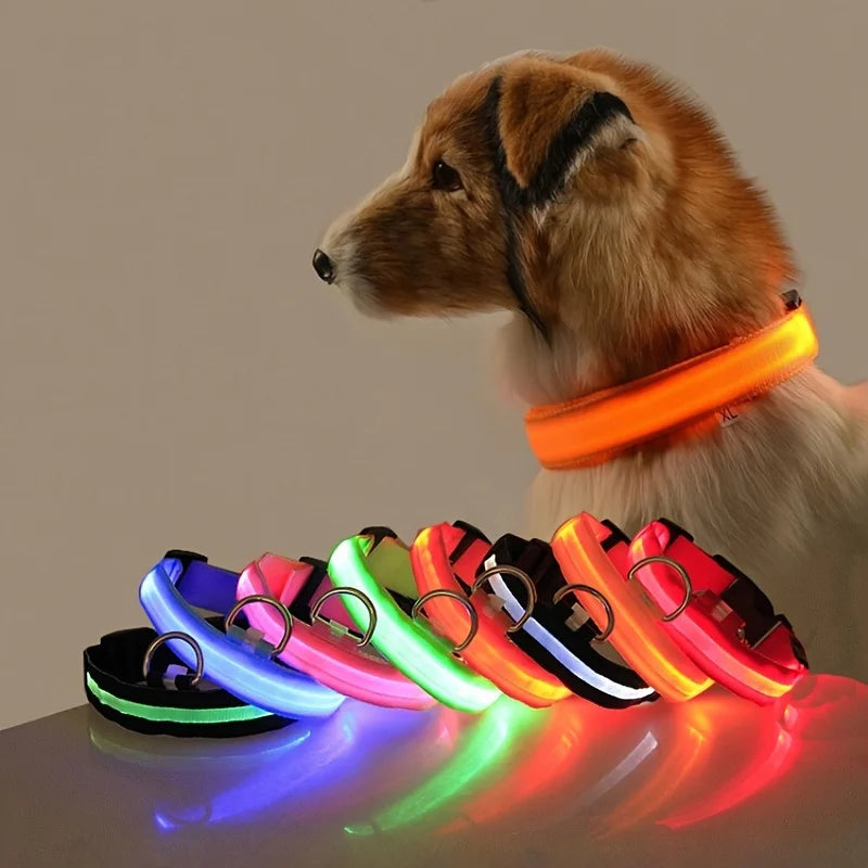 LED Glow Dog Leash & Collar — Stay Safe on Night Walks