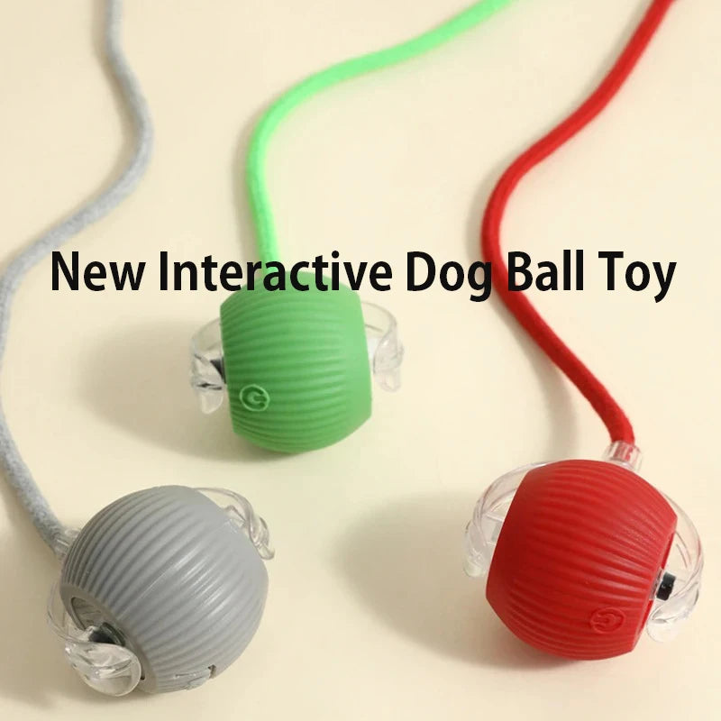 Smart Rolling Dog Ball — Interactive Automatic Toy for Dogs & Cats