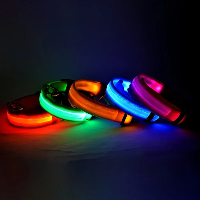 LED Glow Dog Leash & Collar — Stay Safe on Night Walks