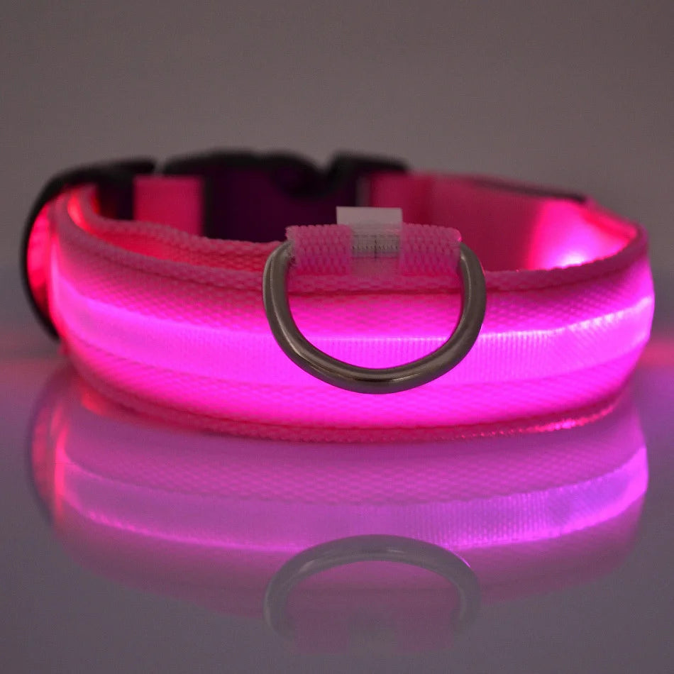 LED Glow Dog Leash & Collar — Stay Safe on Night Walks