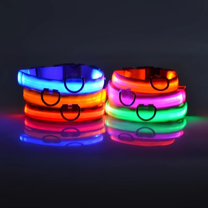 LED Glow Dog Leash & Collar — Stay Safe on Night Walks