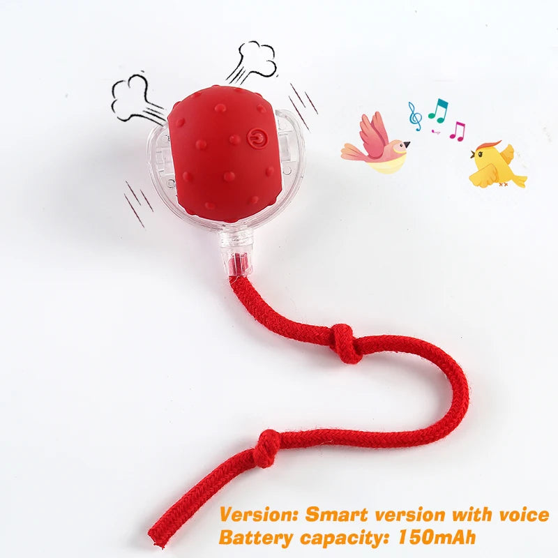 Smart Rolling Dog Ball — Interactive Automatic Toy for Dogs & Cats