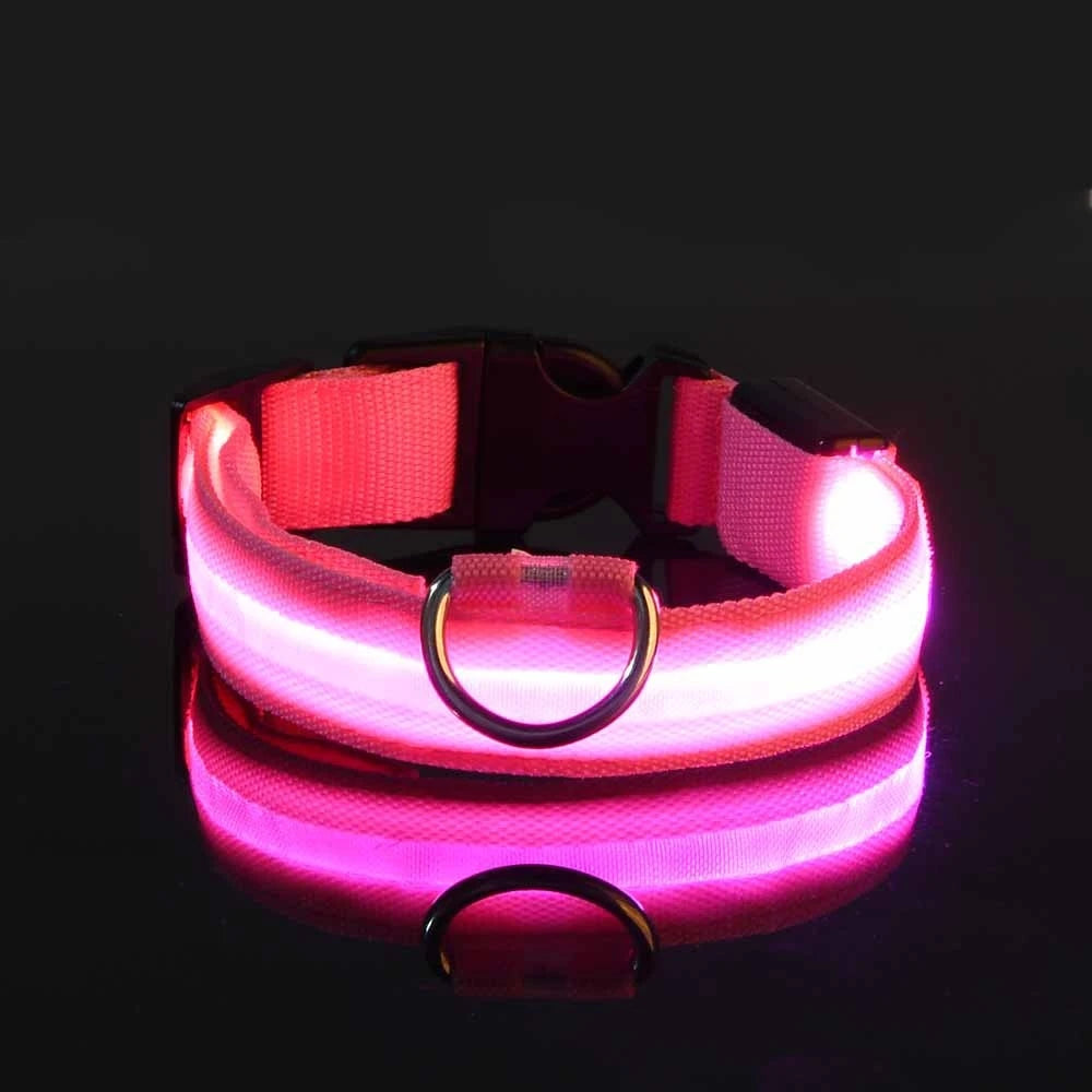 LED Glow Dog Leash & Collar — Stay Safe on Night Walks