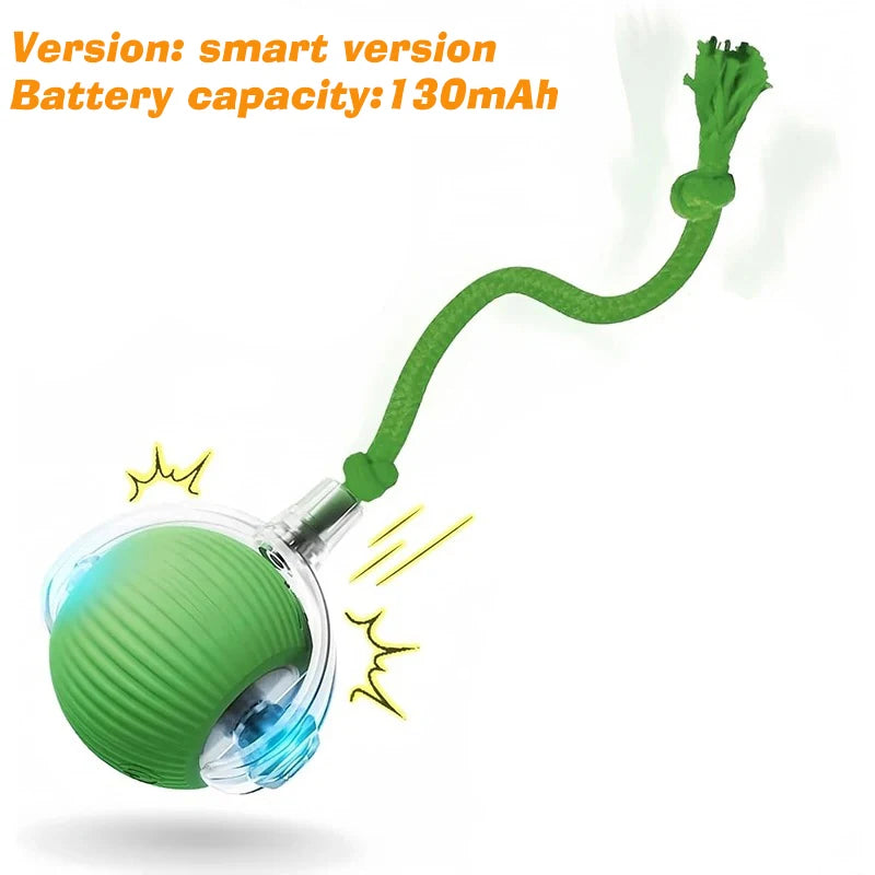 Smart Rolling Dog Ball — Interactive Automatic Toy for Dogs & Cats