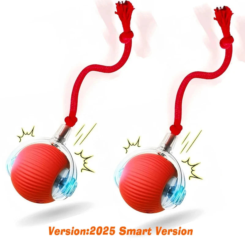 Smart Rolling Dog Ball — Interactive Automatic Toy for Dogs & Cats